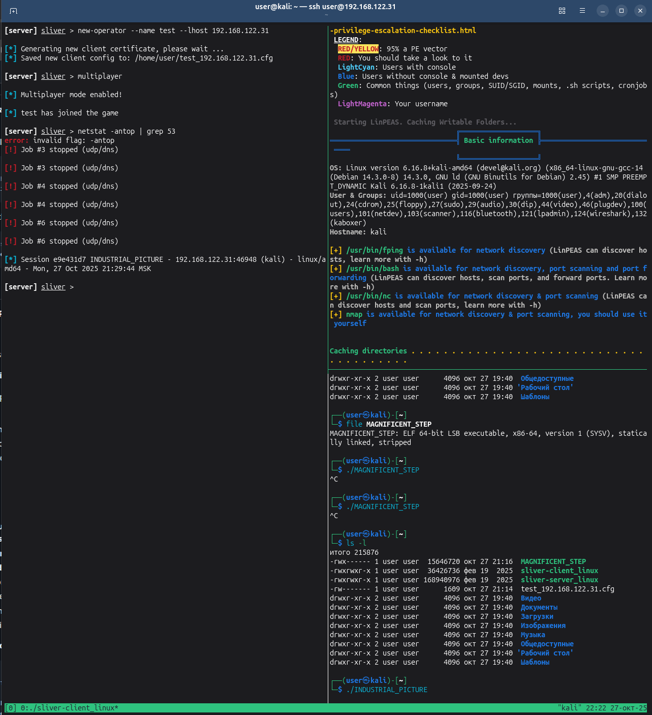 Sliver C2: изучение, демонстрация работы, детект